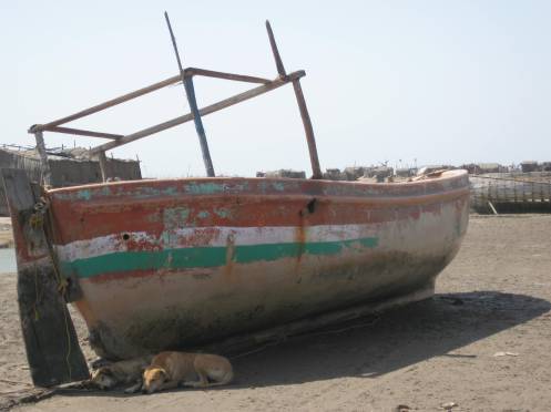 Muslim fishing community.  Boats are parked in the tide route.  When the tide goes out, the boats need to be as close to camp or risk getting stuck in the desert. 